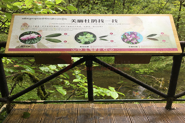 景區(qū)標(biāo)識(shí) 景區(qū)標(biāo)識(shí)