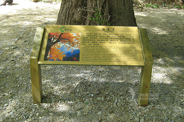 景區(qū)標(biāo)識 景區(qū)標(biāo)識